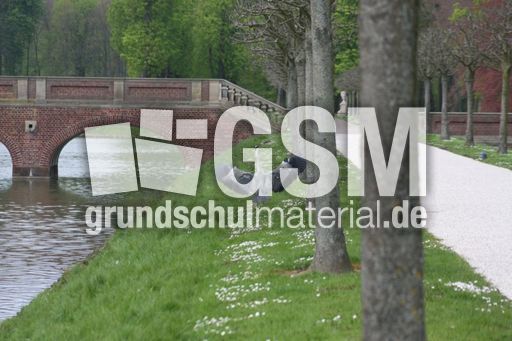 Graureiher-A 245.jpg